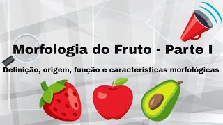 Morfologia do fruto  Parte I [upl. by Aisak]