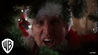 National Lampoons Christmas Vacation  Squirrel Scene  Warner Bros Entertainment [upl. by Hoseia]