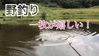 【へらぶな釣り】【野釣り】【段底】この一枚が嬉しいです。小野寺農園TV [upl. by Adnuhsar]