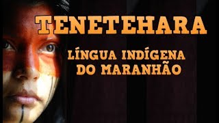 Tenetehara Guajajara  Língua Indígena TupiGuarani do Maranhão [upl. by Ermentrude]