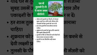 घर मे तुलसी है तो सावधान astrology upaay trending tulsi upaay puja ekadashi kaam plants [upl. by Sup]