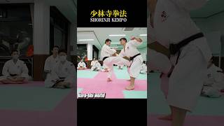 Groin Kick of Shorinji Kempo [upl. by Sion]