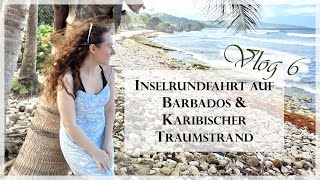 Weltreise Kreuzfahrt 2024 I Bridgetown Barbados I Vlog 6 I MS Artania – Phoenix Reisen [upl. by Egroej]