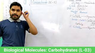 Classification Of Monosaccharides MDCAT Class 11 In Urdu  CH02  Biological Molecules  Lecture10 [upl. by Vano3]