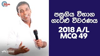 GCE AL Physics 2018 Question 25  භෞතික විද්‍යාව පසුගිය විභාග ගැටළු විවරණය [upl. by Mlehliw562]