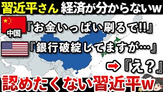 【ゆっくり解説】なぜ中国の銀行は次々に破産していくのか？ [upl. by Laspisa]