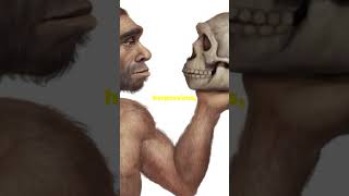 How We Finally Solved the Neanderthal Extinction Mystery [upl. by Jessamine]