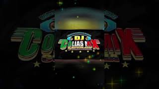 ESPECIAL BANDAS DJ COLIAS [upl. by Zipporah544]