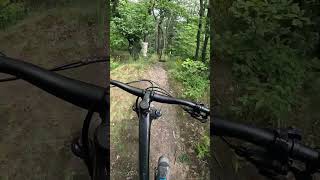 Steiles Ende Brunhildenritt Trail bikepark Bodetal mtb downhill bike mtblife enduro [upl. by Fontana]