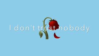 I Dont Trust Nobodylyrics Feat Shiloh Dynasty [upl. by Pinette]