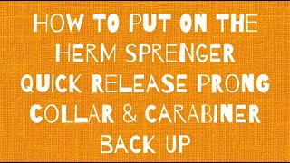 Herm Sprenger Quick Release Prong Collar How to Fit [upl. by Cyril]