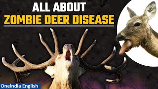 Chronic Wasting Disease What is Prion Can zombie deer disease spread  Explained  Oneindia News [upl. by Haila818]