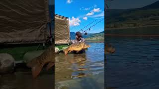 mirrordreamcarp carpfishing carpboatlife fishinglife nature boat neverstopexploring [upl. by Eon]