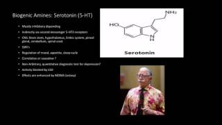 Neurotransmitters Biogenic Amines [upl. by Connelly]