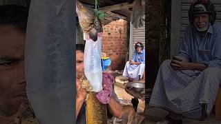 Nice Long Eel Fish Cutting ln village [upl. by Nonnaer]