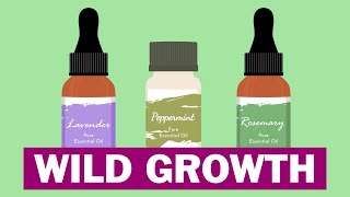 Best 6 Essential Oils For Hair Growth [upl. by Ydieh12]