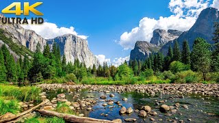 Yosemite Valley Complete Scenic Drive  Yosemite National Park 4K California [upl. by Immas]