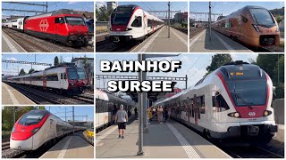 Züge beim Bahnhof Sursee  Trains at Sursee station 2023 [upl. by Nebeur245]