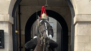 Famous kings guard Blues and royals on duty today [upl. by Trub]