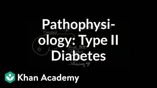 Pathophysiology  Type II diabetes  Endocrine system diseases  NCLEXRN  Khan Academy [upl. by Salisbarry]