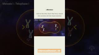 Meiosis shortsfeed biology meiosis meiosis fypシ゚viral [upl. by Meerek]