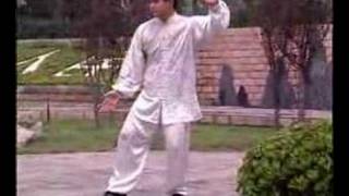 Taiji  Chen Style Kungfu Form demo Wang Zhanjun [upl. by Sarita]