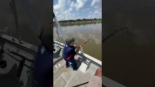 Tough life as a kid paddlefish fishing seaark [upl. by Alva]