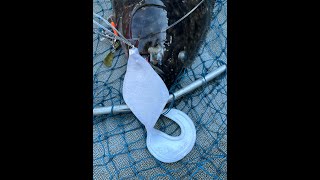 Halibut Fishing Washingtons Swiftsure Bank from Neah Bay [upl. by Grosvenor]