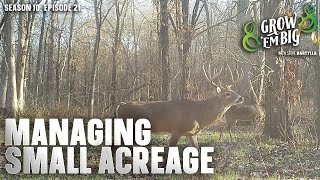 Improve Your Deer Hunting on a Small Property [upl. by Lacombe]