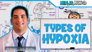 Respiratory  Types of Hypoxia Hypoxemic  Anemic  Stagnant  Histotoxic [upl. by Nwahsav]