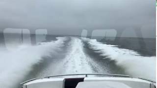 43 knots  Twin Volvo Penta IPS 1350 Sea Trial  Z55 Zeelander Yachts [upl. by Anilet]