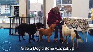 Give a Dog a Bone  winner of a £50000 Movement for Good award [upl. by Yalcrab]