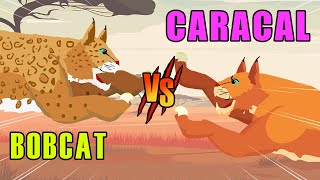 Bobcat vs Caracal  Woodland vs Savannah Animals S1  Animal Animation [upl. by Shieh]