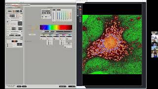 Confocal Microscopy Workshop 2D Acquisition and Spectral Separation  James Hayden BA RBP FBCA [upl. by Novihc]