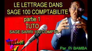 comment et quand procéder au Lettrage dans Sage 100 compta [upl. by Trinl]