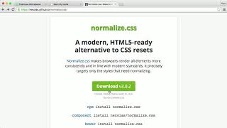 0102 CSS Reset with Normalize [upl. by Ajssatsan]