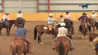 Buck Brannaman Horse Rush TV Australia Part 2 [upl. by Yenattirb481]