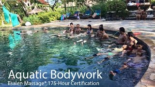 Esalen Massage Bali  Aquatic Bodywork at Mimpi 2016 [upl. by Orpha]