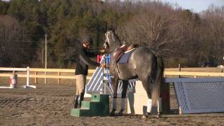 Part 1 of the Retired Race Horse Thoroughbred Training Project with Eric Dierks [upl. by Warfourd]