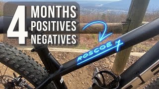 BROKEN TREK Roscoe 7 2023 Long Term Bike Review Is it still worth your money [upl. by Goles457]