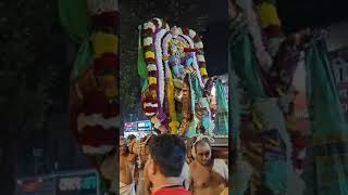 Garuda Seva Shobha Yatra  Srinivasa Govinda  pavitrotsavam [upl. by Ahseyi]