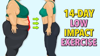 14Day Low Impact Standing Exercise – Lose Belly Fat Without Jumping [upl. by Annohsed]