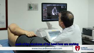 Transthoracic Echocardiogram [upl. by Demb]