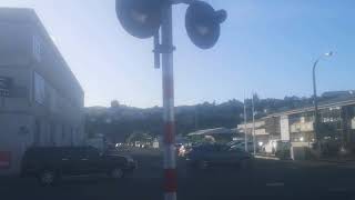 Lever street level crossing in Napier [upl. by Latnahc416]