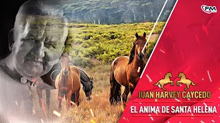 El Anima de Santa Helena  Juan Harvey Caycedo  Vídeo Oficial [upl. by Aneerahs]