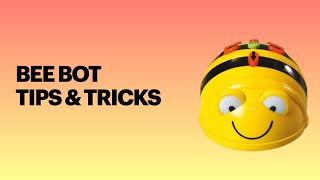 Bee Bot Tips amp Tricks [upl. by Arytas]