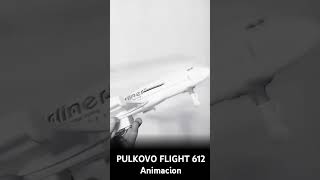 aviation pulkovo flight 612 chocado después voy a aser de japan airlines 123elmundodelaaviacion [upl. by Ardnasil881]