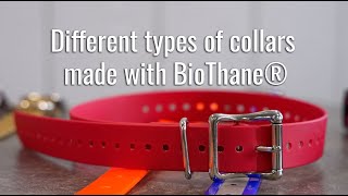 Different types of collars made with BioThane® [upl. by Melinde978]