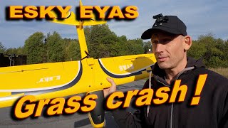 Esky Eyas Grass crash [upl. by Dulcinea]