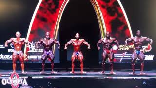 2024 Mr Olympia Mens Open Bodybuilding Prejudging  Olympia 24 Bodybuilding [upl. by Amol687]